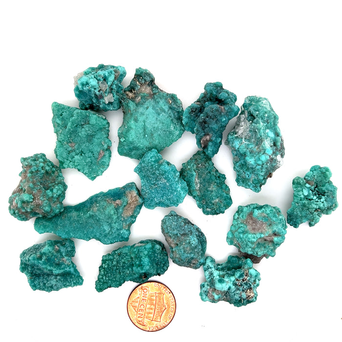 Campo Frio Mexican Turquoise Lot - 1/4LBS